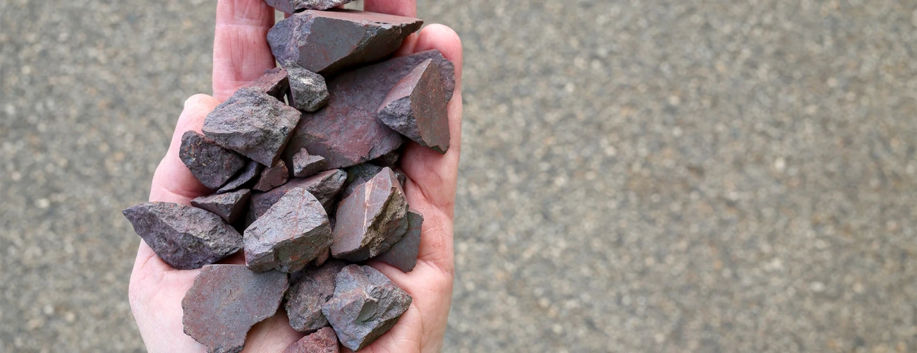 Iron ore price posts steepest daily rise in over 1 year on fresh China stimulus
