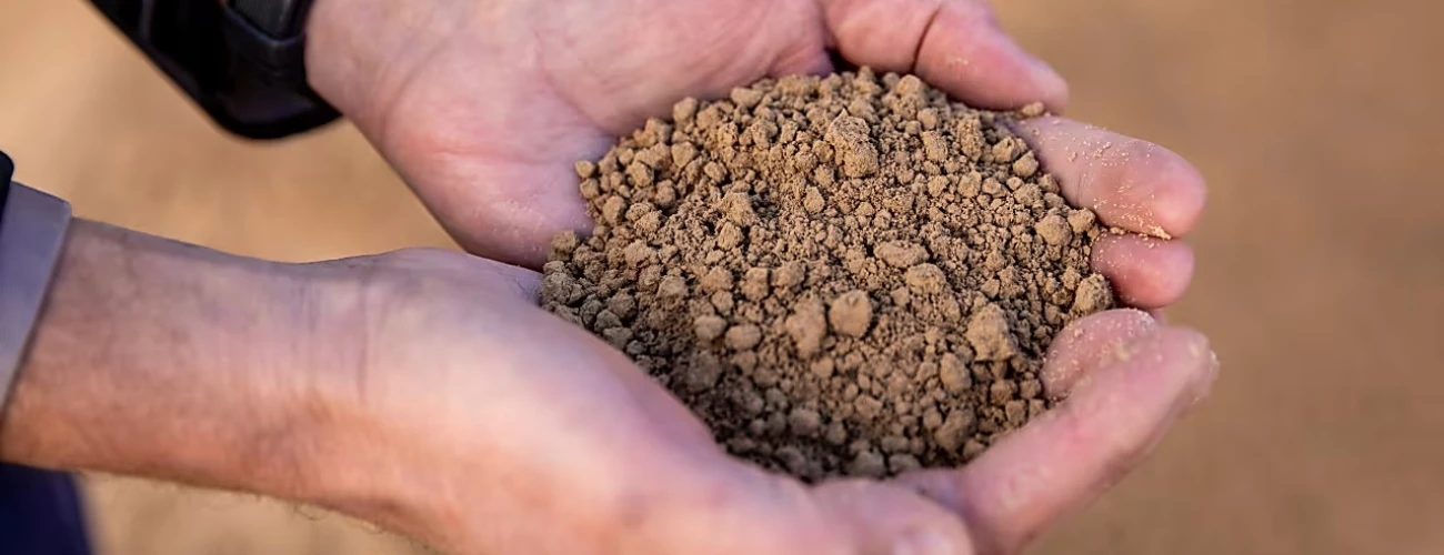 China’s grip on rare earths undercuts projects from US to Japan