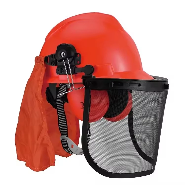 Head & Face Protection